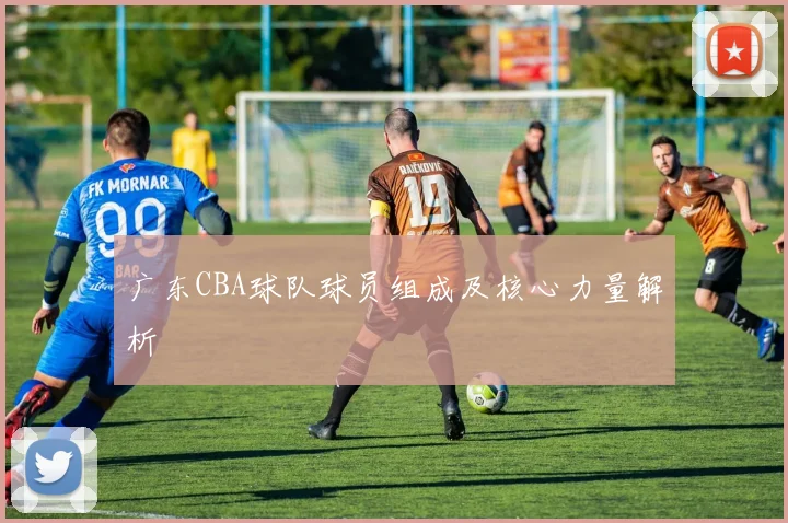 广东CBA球队球员组成及核心力量解析