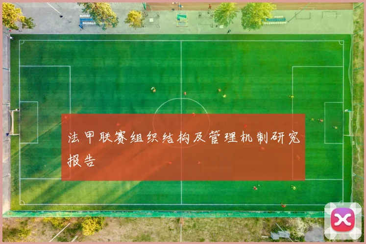 法甲联赛组织结构及管理机制研究报告