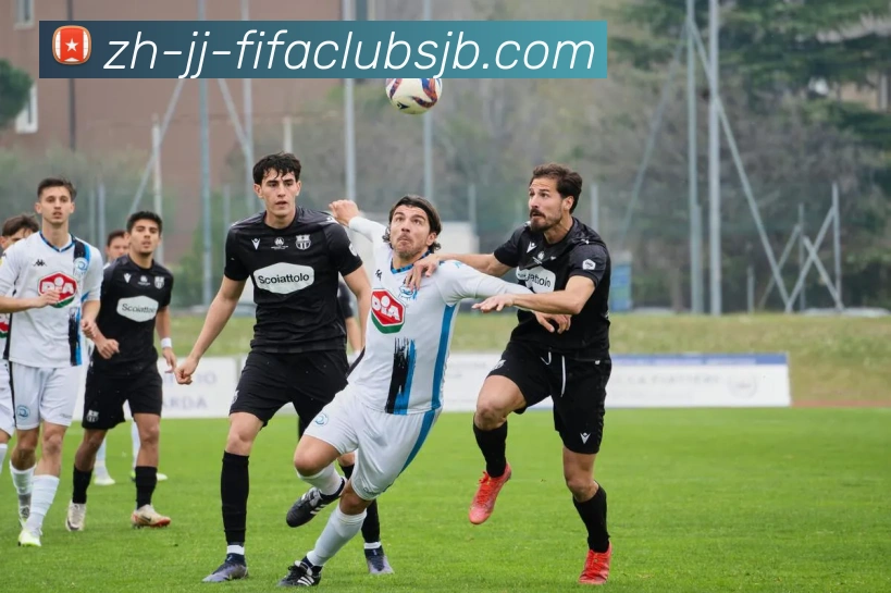 世界杯赛程服务体系