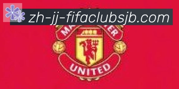 世界杯赛程合作伙伴