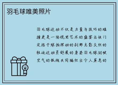 羽毛球唯美照片