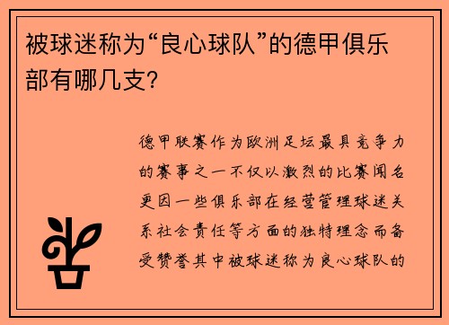 被球迷称为“良心球队”的德甲俱乐部有哪几支？